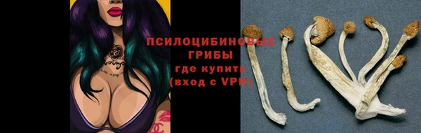 бошки Корсаков