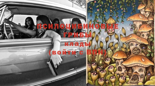 бошки Корсаков