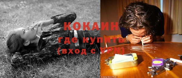 гидра Коряжма