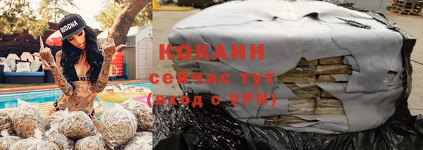 гидра Коряжма