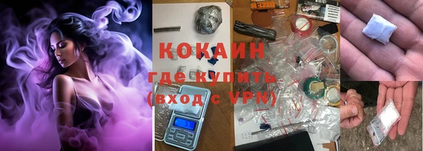 гидра Коряжма