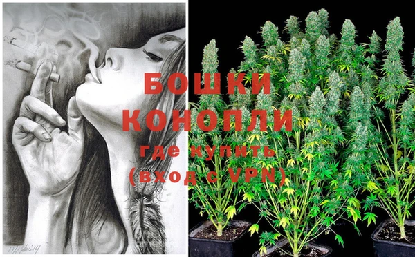 бошки Корсаков